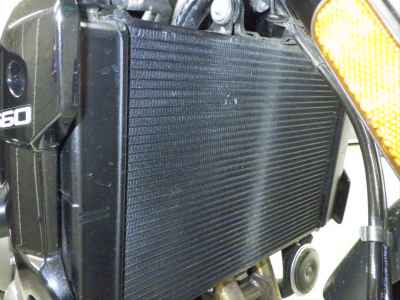 Triumph Trident 660 2024