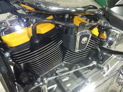 Harley-Davidson Fat Boy FLSTFI1920 2025