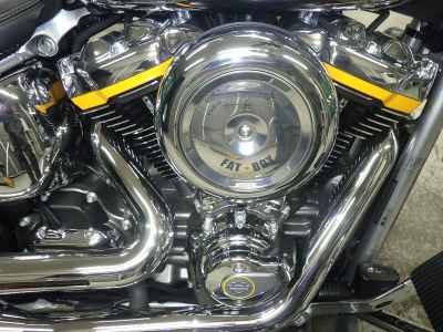 Harley-Davidson Fat Boy FLSTFI1920 2025