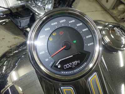 Harley-Davidson Fat Boy FLSTFI1920 2025