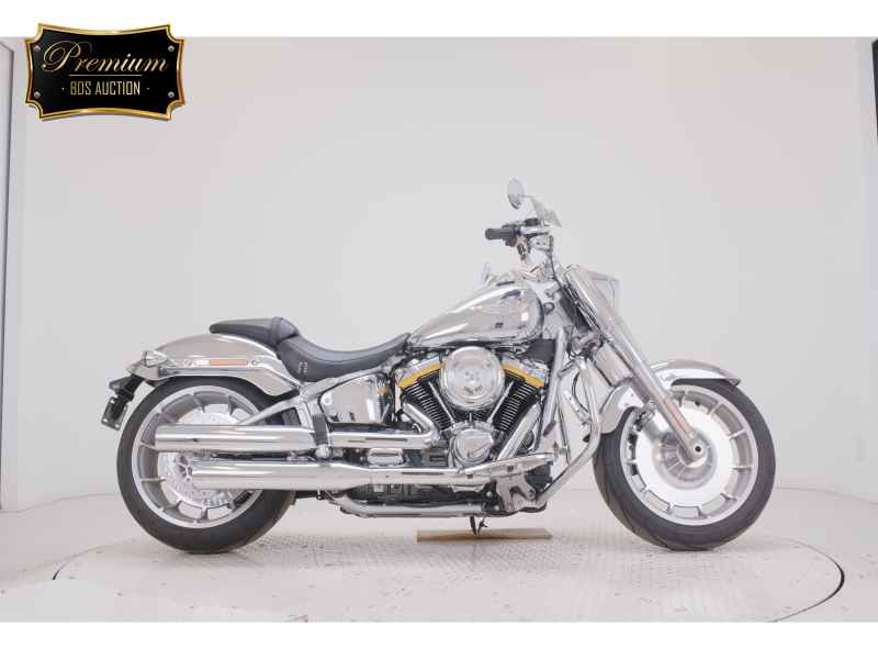 Harley-Davidson Fat Boy FLSTFI1920 2025