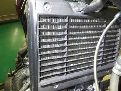 Honda Rebel CMX1100 DCT 2021