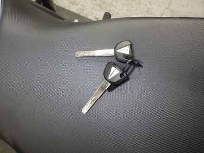 Kawasaki Ninja 1100SX 2025