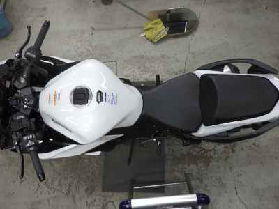 Kawasaki Ninja 1100SX 2025