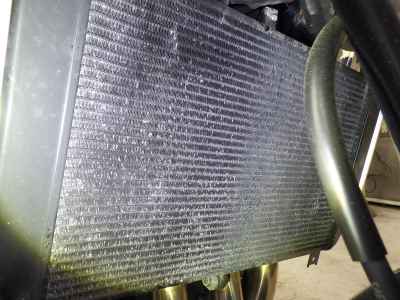 Kawasaki Z900RS 2023