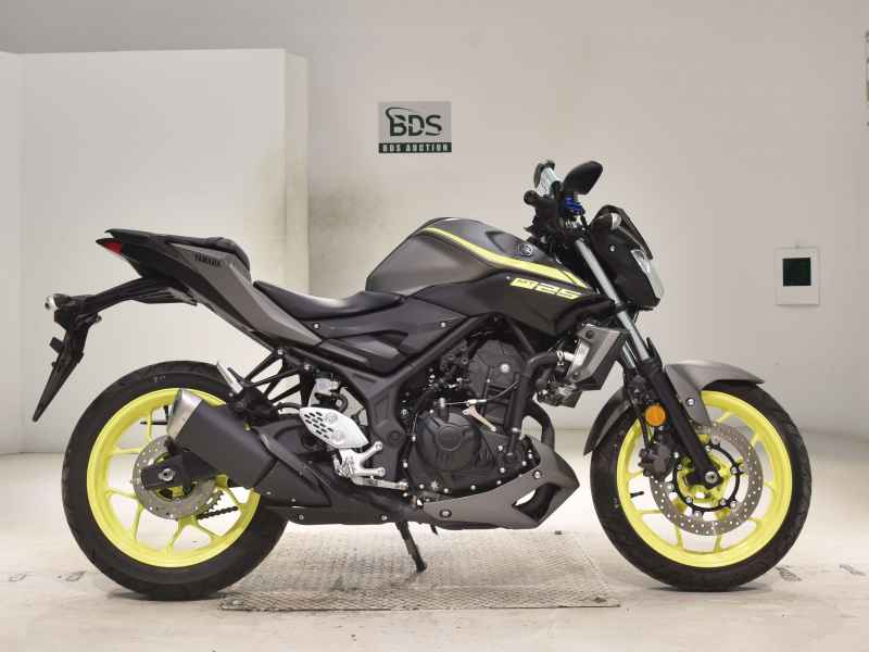 Yamaha MT-25 2018
