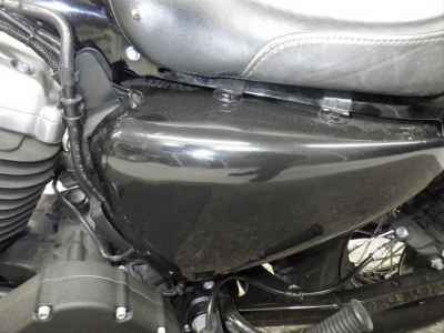 Harley-Davidson Sportster Forty-Eight XL1200X 2015