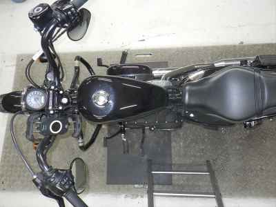 Harley-Davidson Sportster Forty-Eight XL1200X 2015