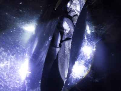 Suzuki Hayabusa 2011