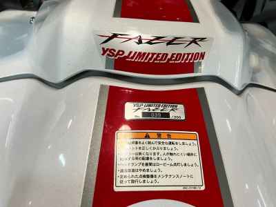 Yamaha FZ1 Fazer 2009