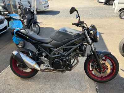 Suzuki SV650 2024