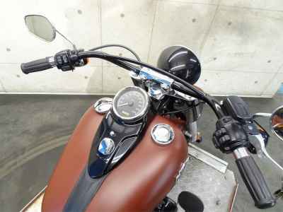 Harley-Davidson Slim FLS1580 2017