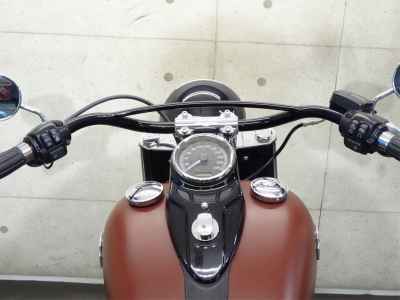 Harley-Davidson Slim FLS1580 2017