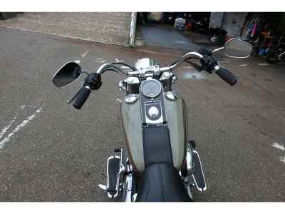 Harley-Davidson FLSTN1580 2013