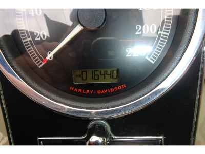 Harley-Davidson FLSTN1580 2013