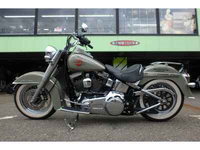 Harley-Davidson FLSTN1580 2013