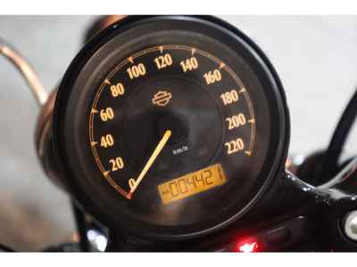 Harley-Davidson Sportster Forty-Eight XL1200X 2016