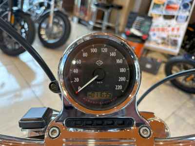 Harley-Davidson XL1200V 2015