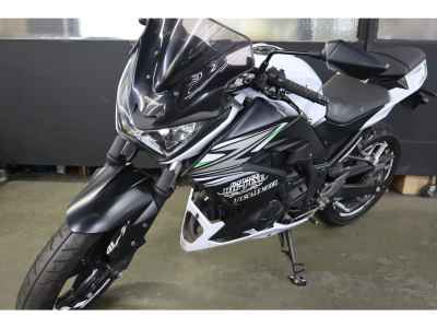 Kawasaki Z250 2014