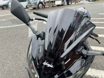 Kawasaki Ninja 250 2015