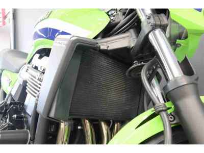 Kawasaki ZRX1200 Daeg 2010