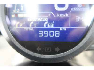 Honda Rebel CMX1100 DCT 2023