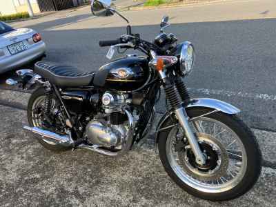 Kawasaki W800 2025