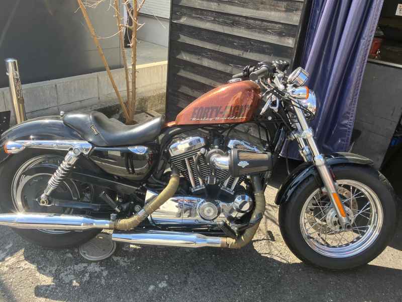 Harley-Davidson Sportster Custom XL1200C 2011