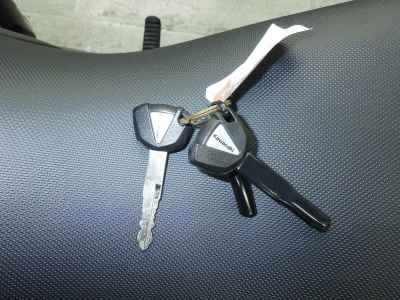 Kawasaki Ninja 1000SX 2024