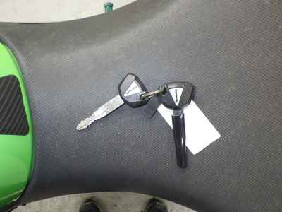 Kawasaki Ninja 250 2018