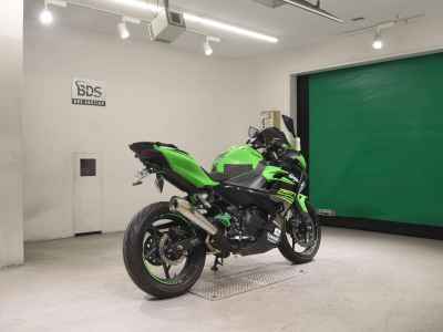 Kawasaki Ninja 250 2018