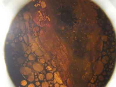 Harley-Davidson Breakout FXSB1800 2017