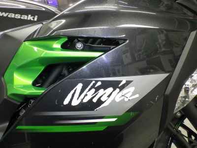 Kawasaki Ninja 250 2024