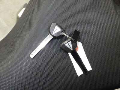 Kawasaki Ninja 250 2024