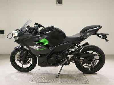 Kawasaki Ninja 250 2024