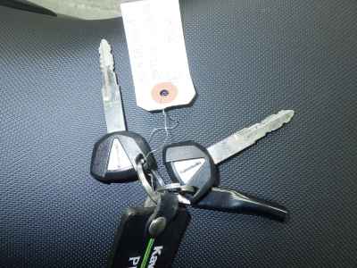 Kawasaki Ninja 1000 2017