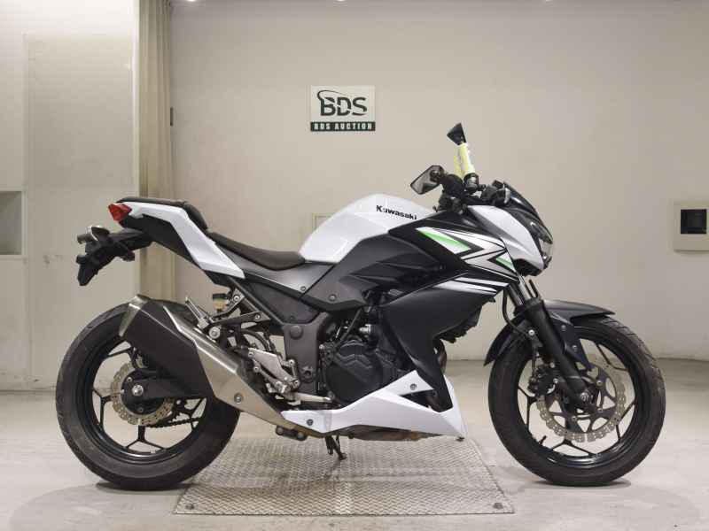 Kawasaki Z250 2014