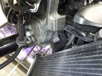 Kawasaki Z900RS Yellow Ball ED 2024