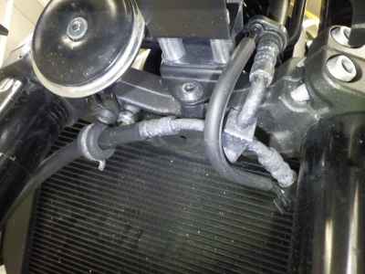 Kawasaki Z900RS Yellow Ball ED 2024