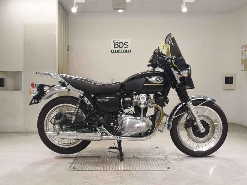 Kawasaki W800 2024