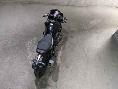 Honda Hawk 11 2023