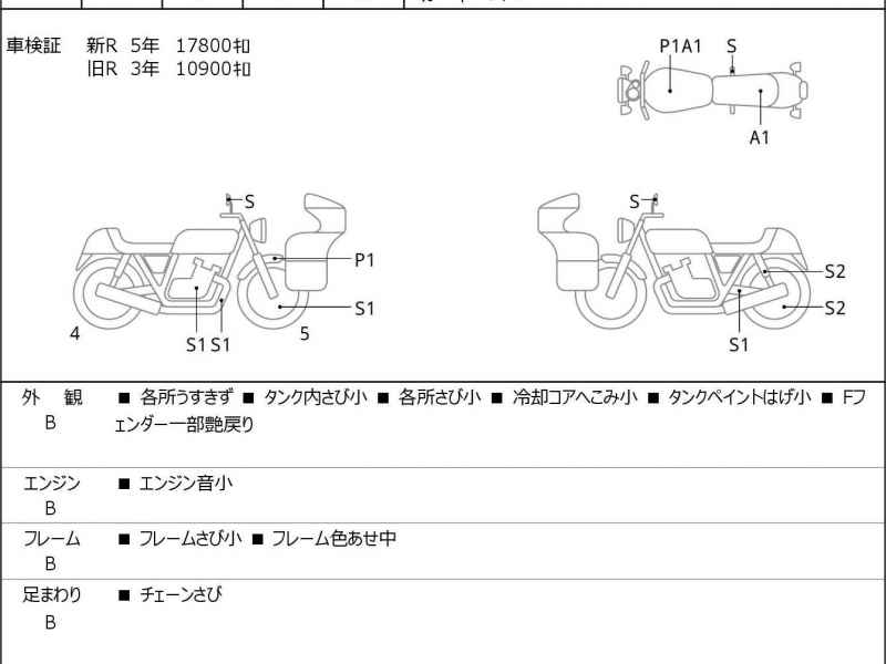 Triumph Scrambler 900 2013