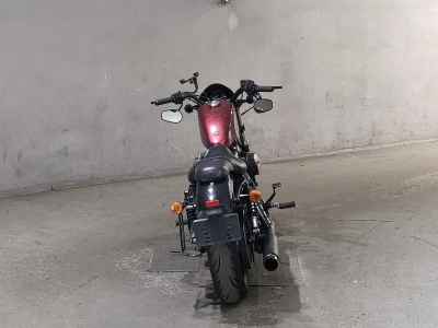 Harley-Davidson Sportster Forty-Eight XL1200X 2015