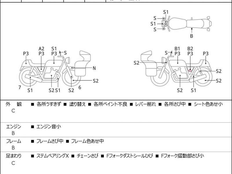 Kawasaki Estrella RS