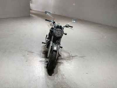 Kawasaki Estrella RS