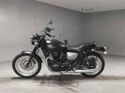 Kawasaki W800 2019