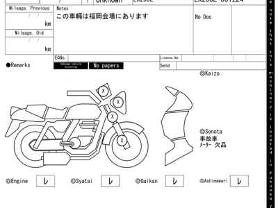 Kawasaki D-Tracker 250 X