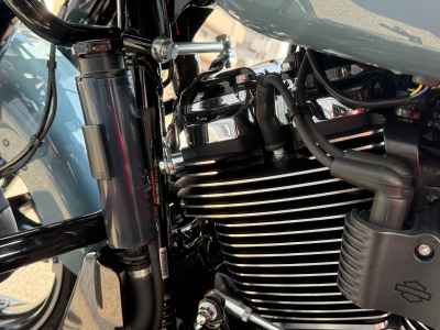 Harley-Davidson Road Glide FLTRX1920 2024