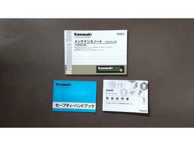 Kawasaki Z650RS 2024