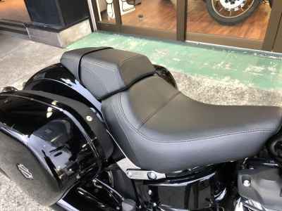 Harley-Davidson Sport Glide FLSB1750 2021
